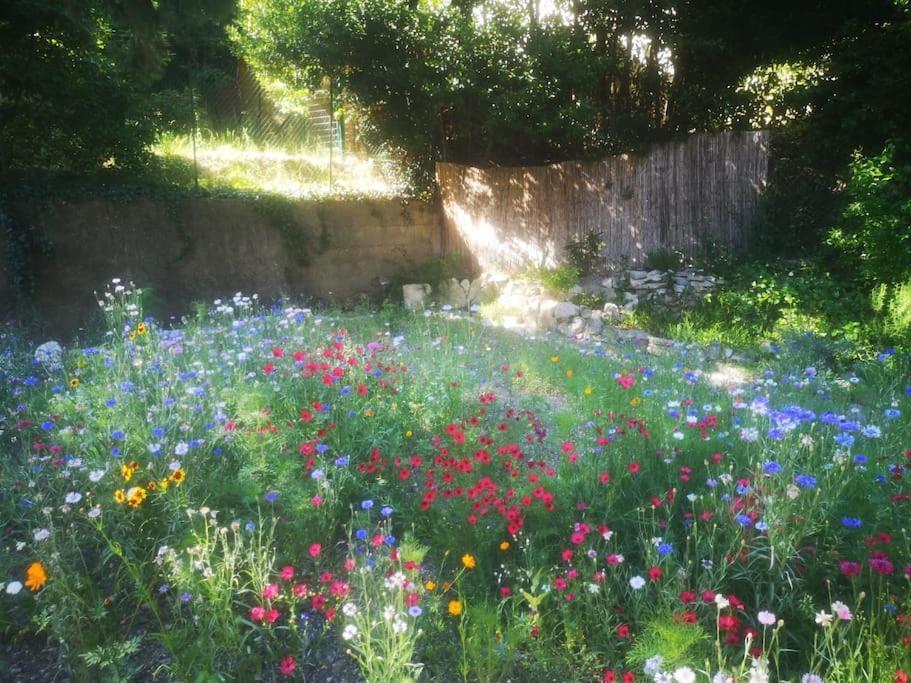 Belle Dependance De 30M2 Avec Terrasse Et Jardin Villeneuve-lès-Avignon Exterior photo